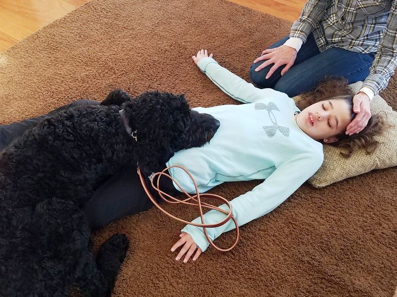 Therapy dogs for outlet seizures