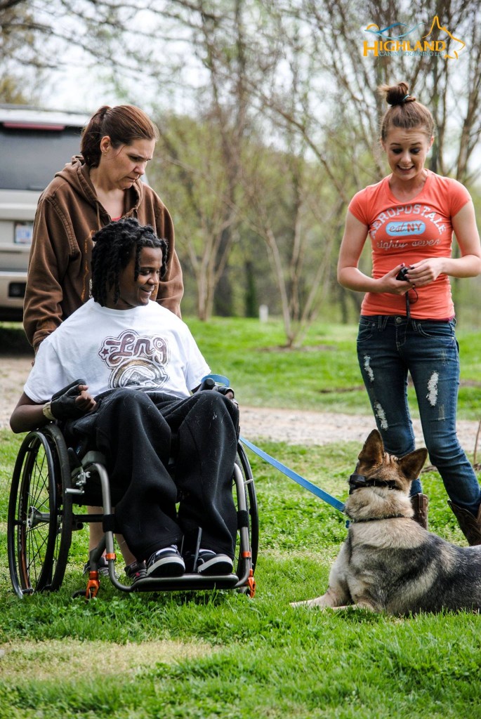 What is Doggie Boot Camp?