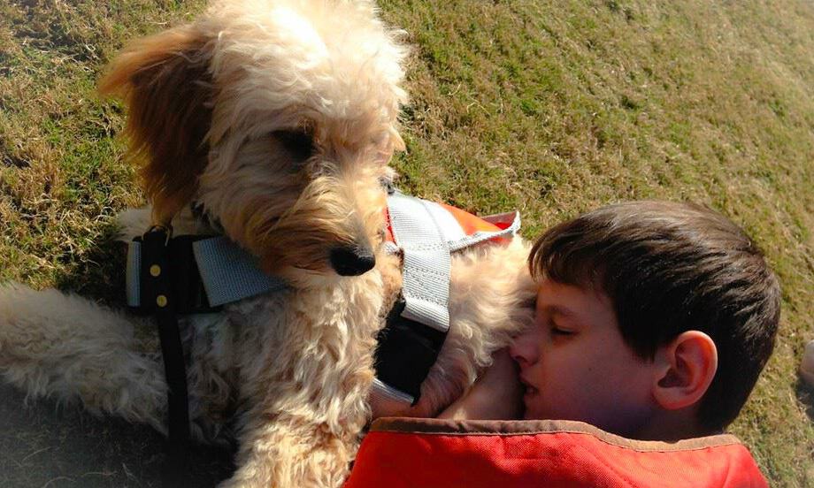 service dogs for autism