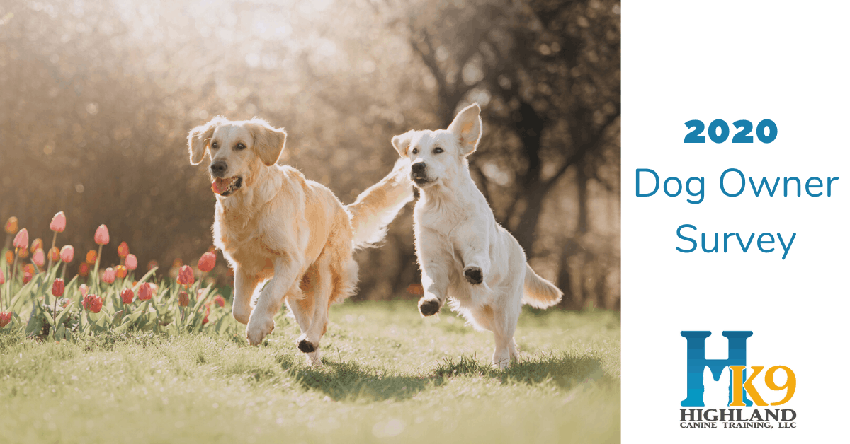 2020 highland canine dog owner survey