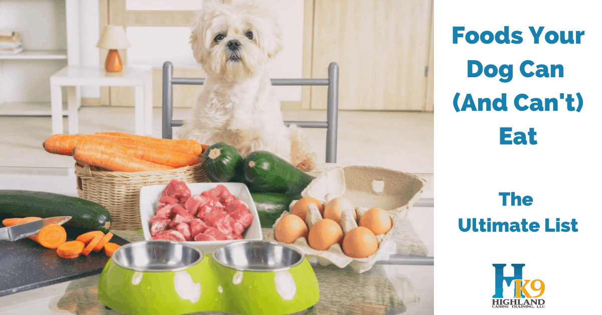 How Much Yogurt Can I Feed My Dog Per Day? The Ultimate Guide