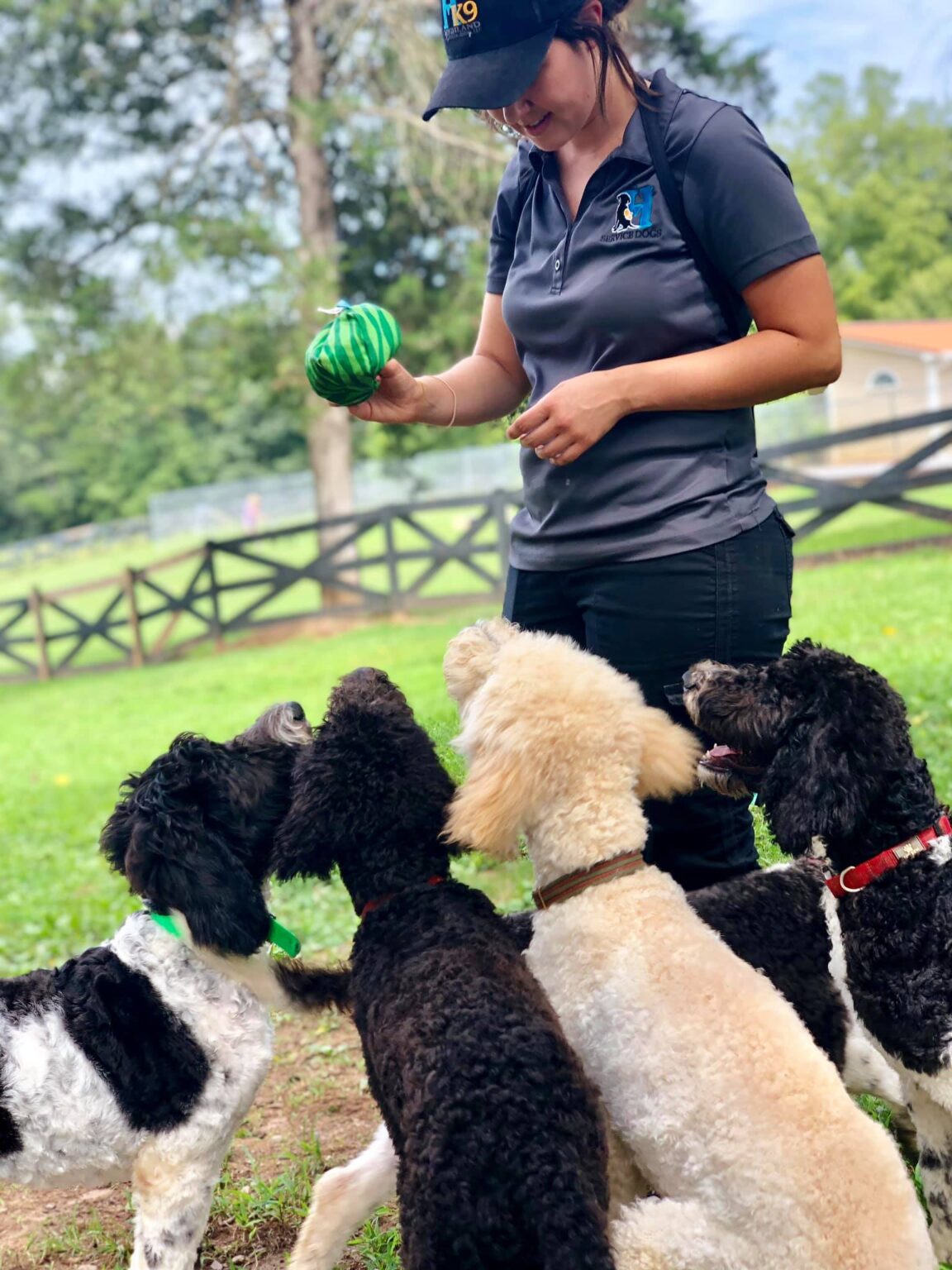 Dog Training, Atlanta GA Highland Canine Training