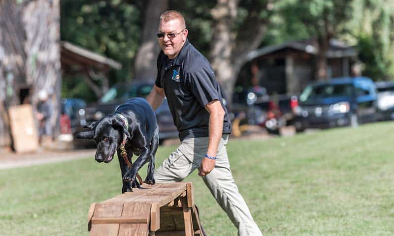 corey archer alabama dog trainer