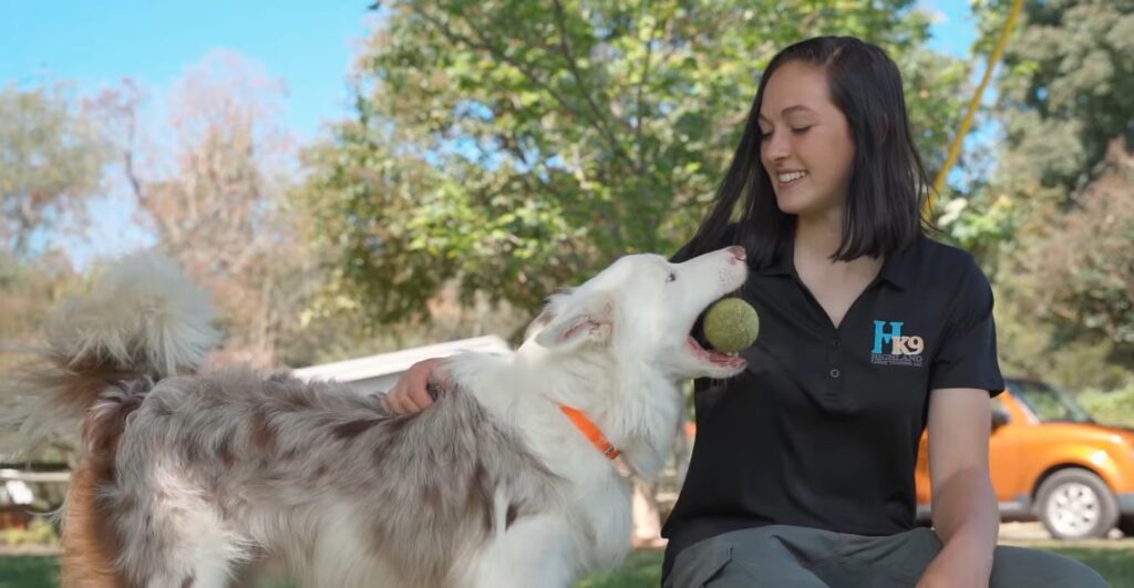 dana parris and dog with tennis ball