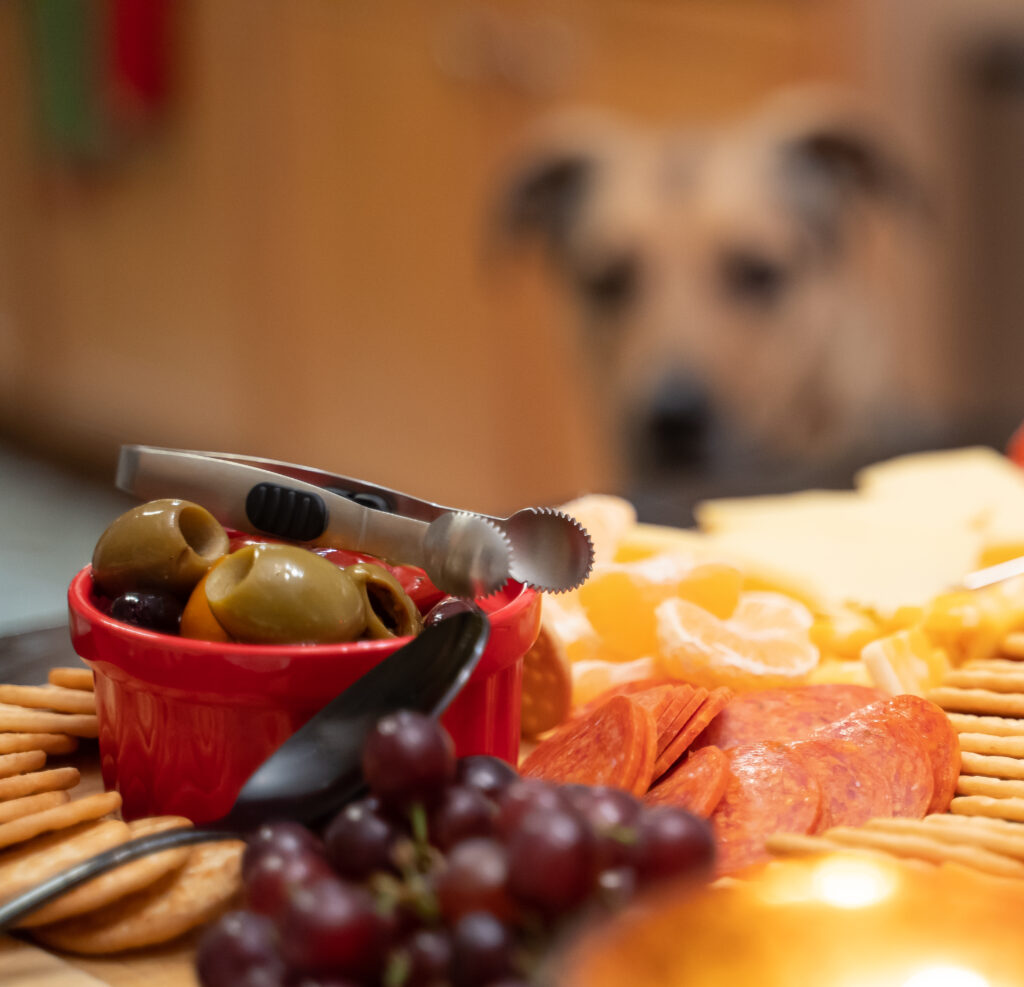 dog staring at olives and grapes