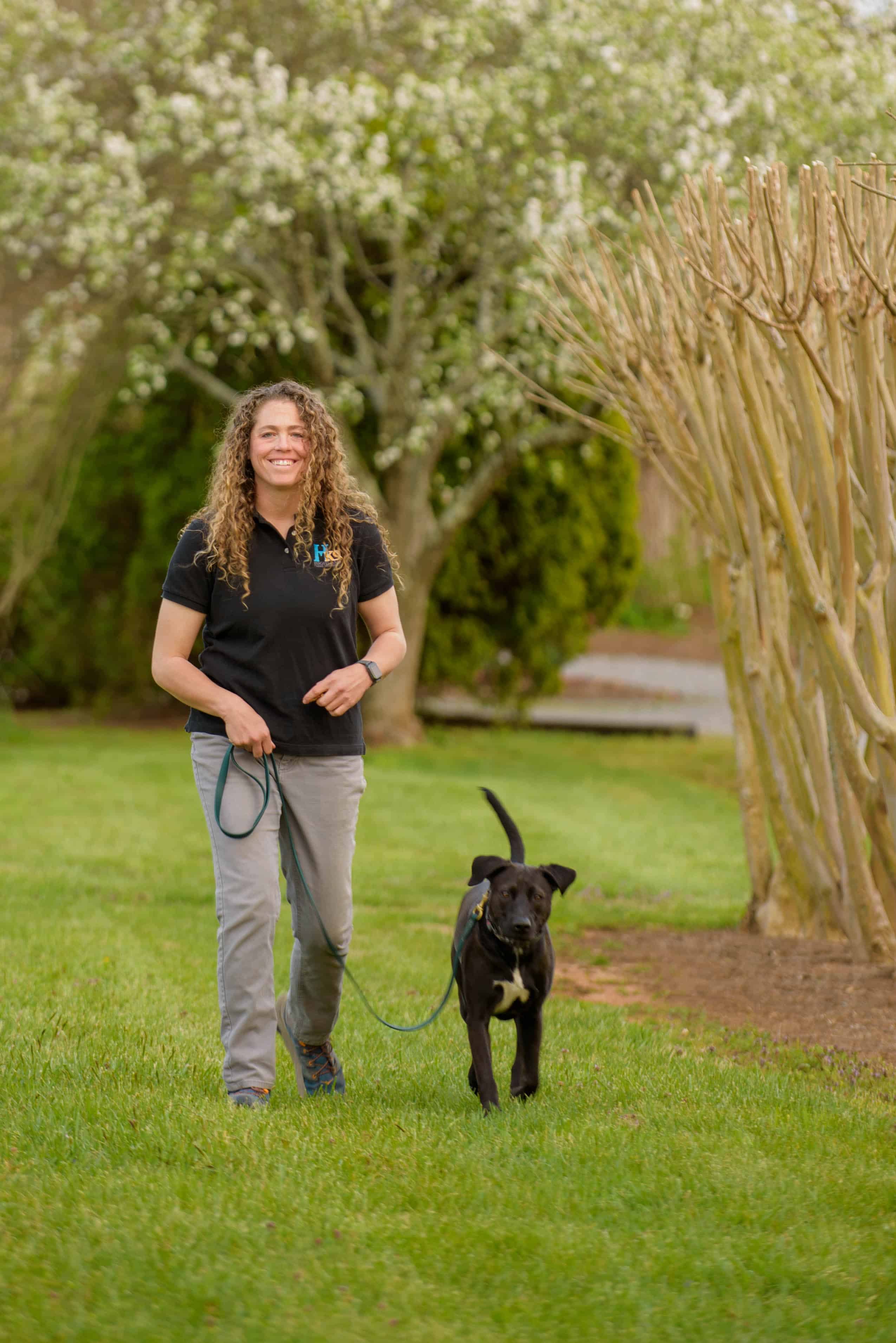 Dog Training Asheville Highland Canine Training