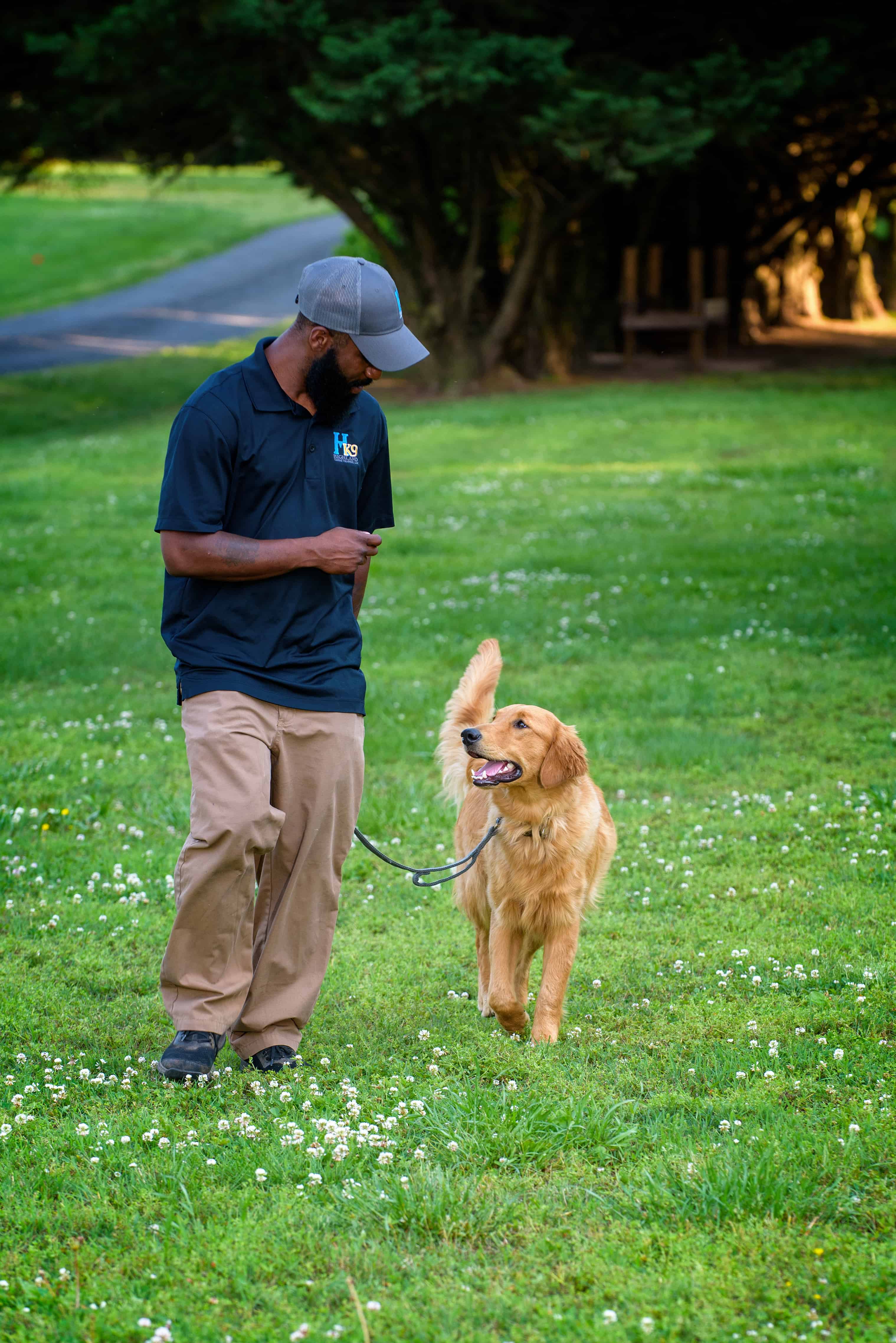 Dog Training Raleigh, NC Highland Canine Professional Dog Training
