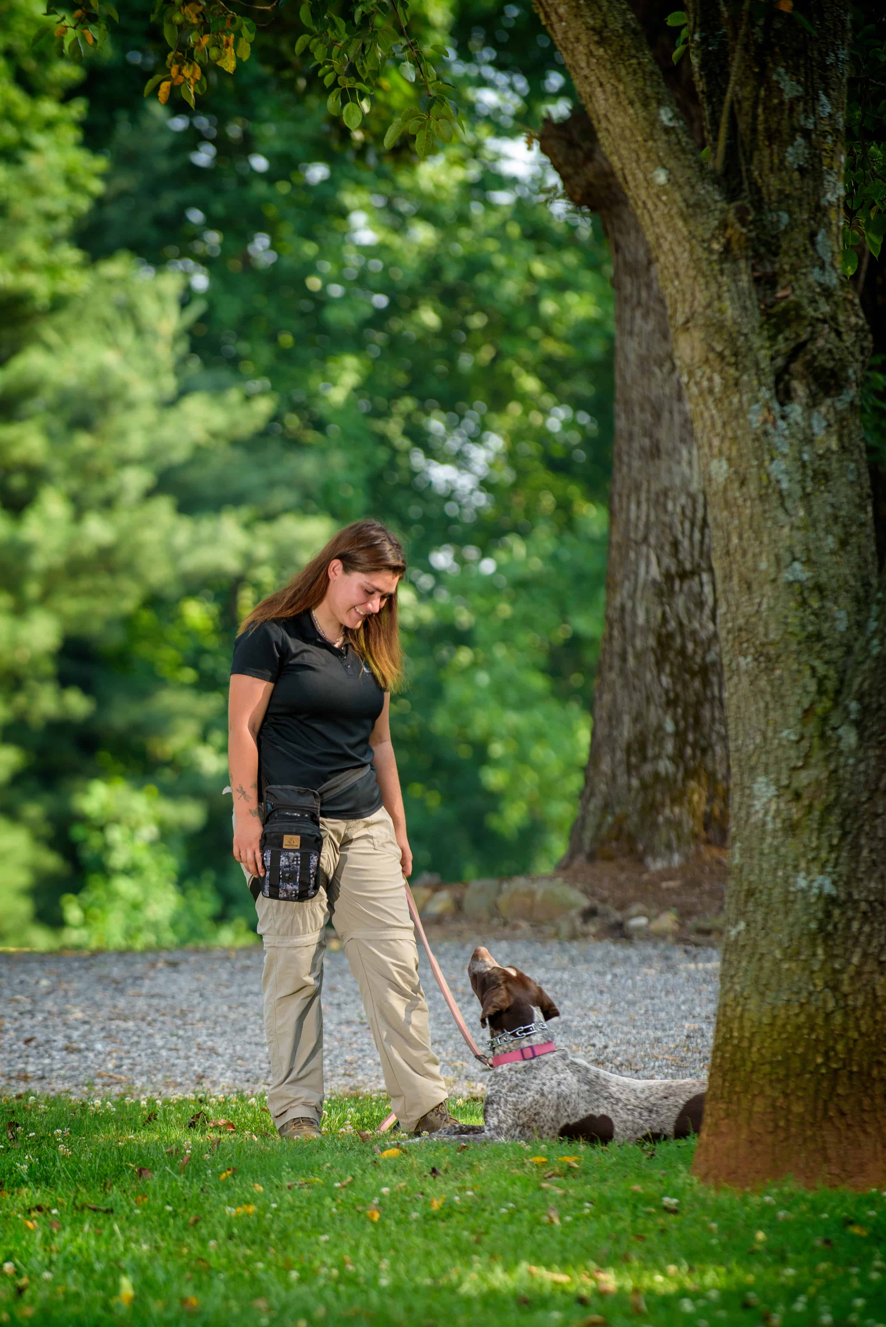 Dog Training, Alabama | Highland Canine Training