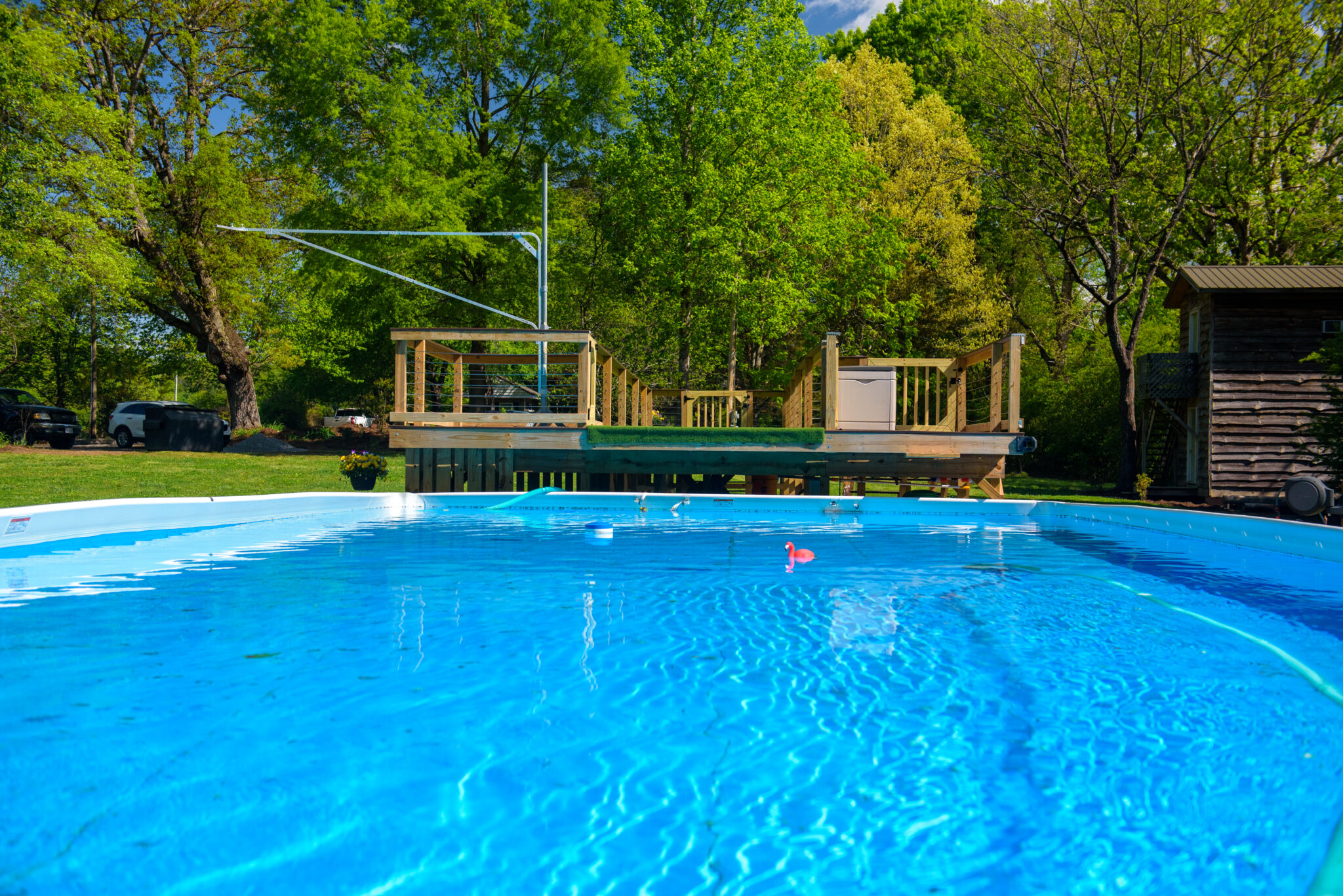Dock Diving Group Class Highland Canine Training