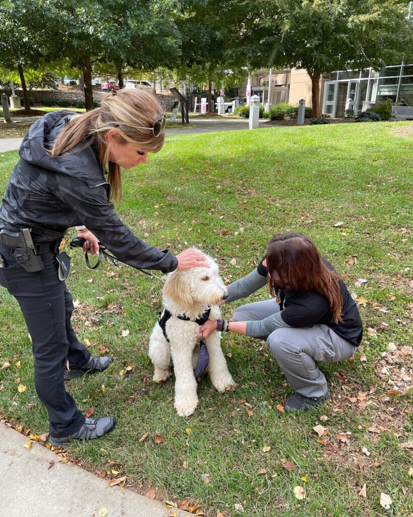 therapy dog k9 unit