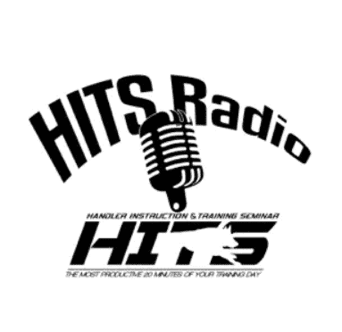 hits radio logo