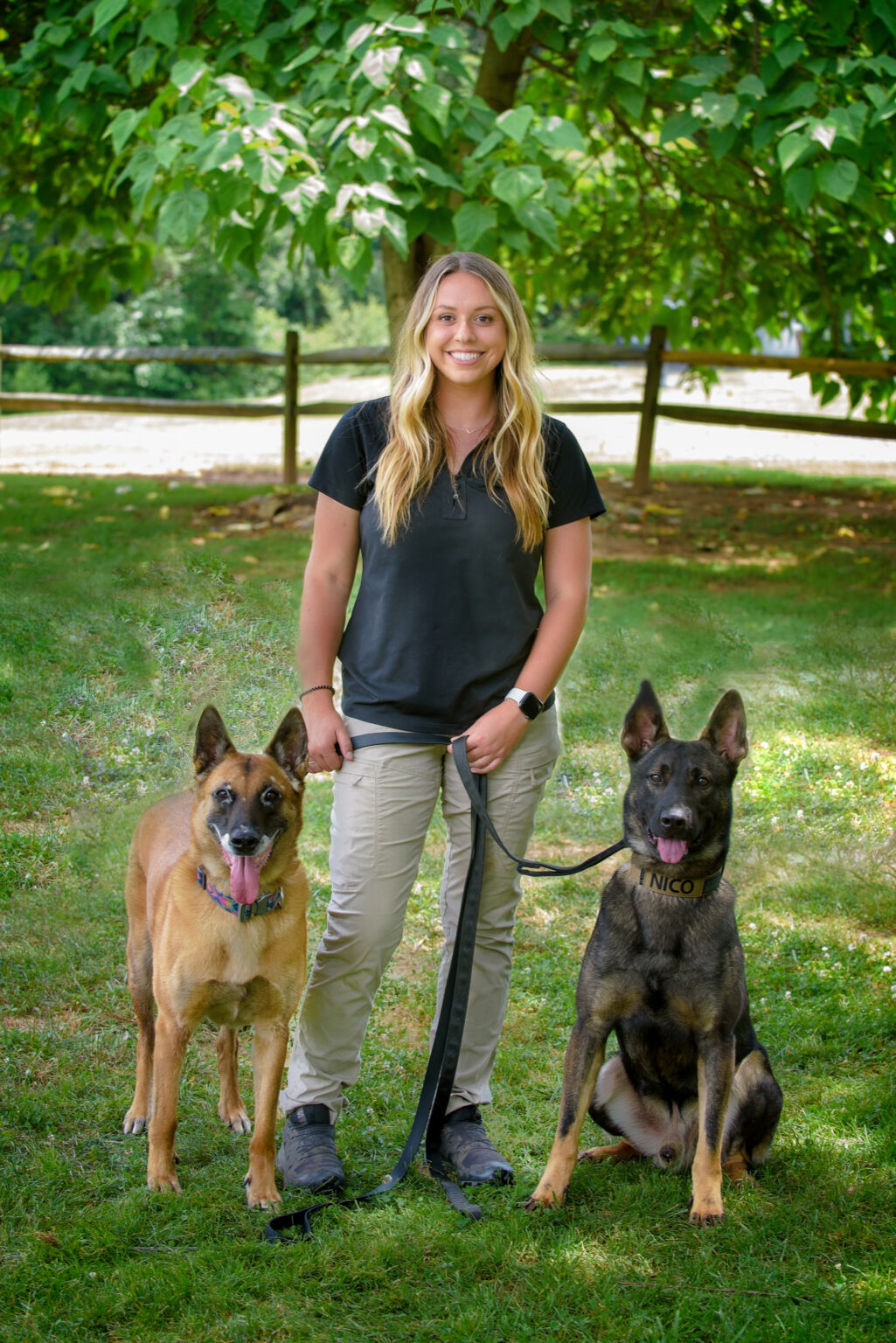 Dog Training Concord, NC Highland Canine Training
