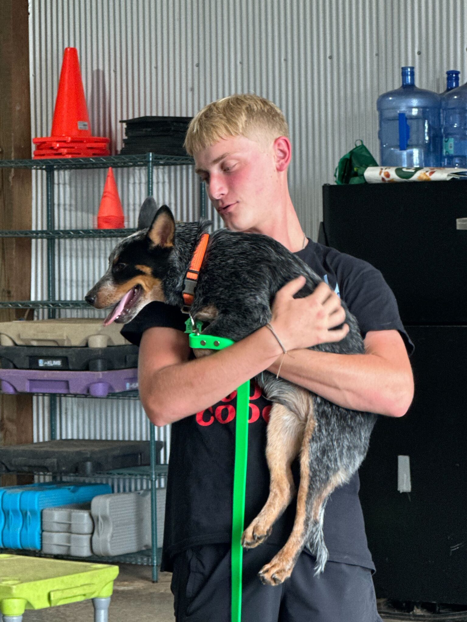 Dog Training Birmingham, AL Highland Canine Training