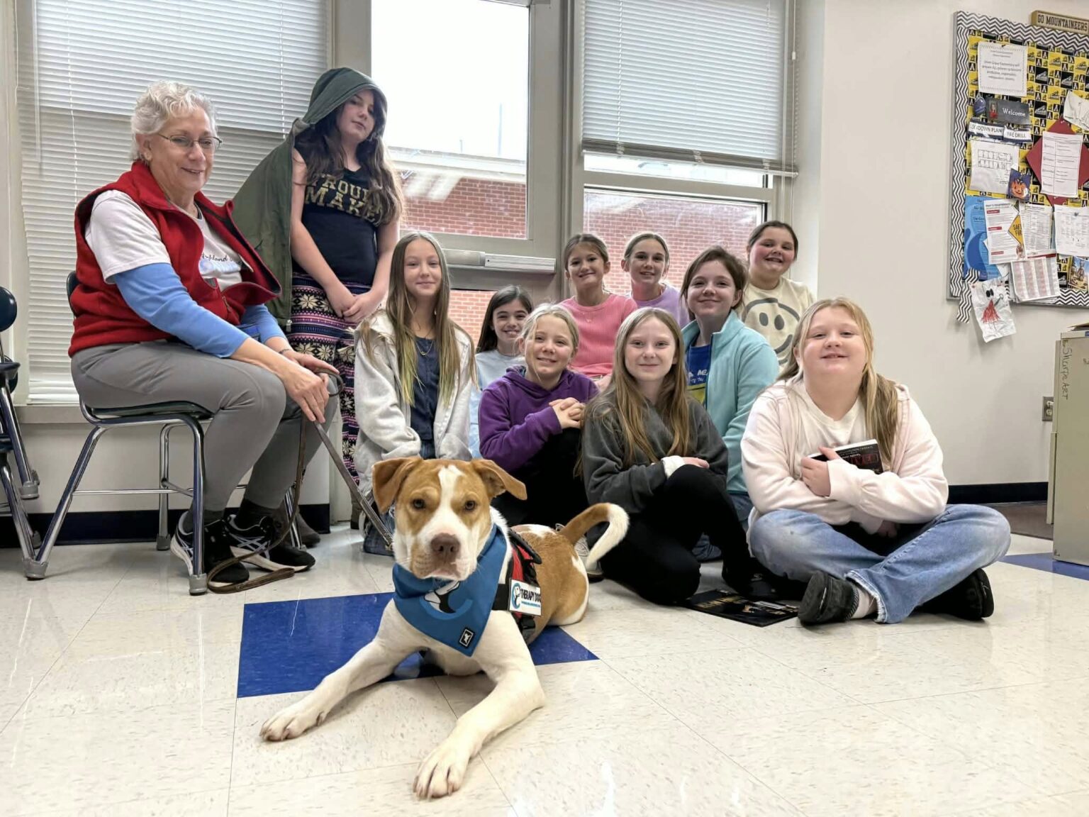 Service Dogs, Therapy Dogs And Emotional Support Animals - What Are The ...