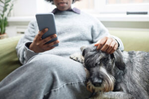 person looking at phone with dog