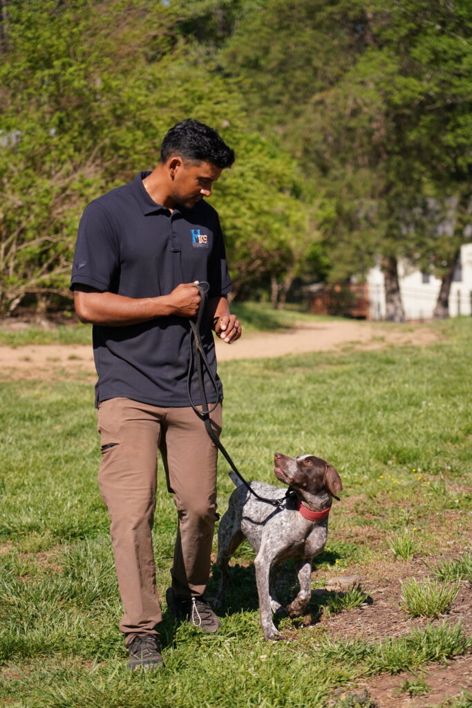 carlos viera huntersville nc dog trainer