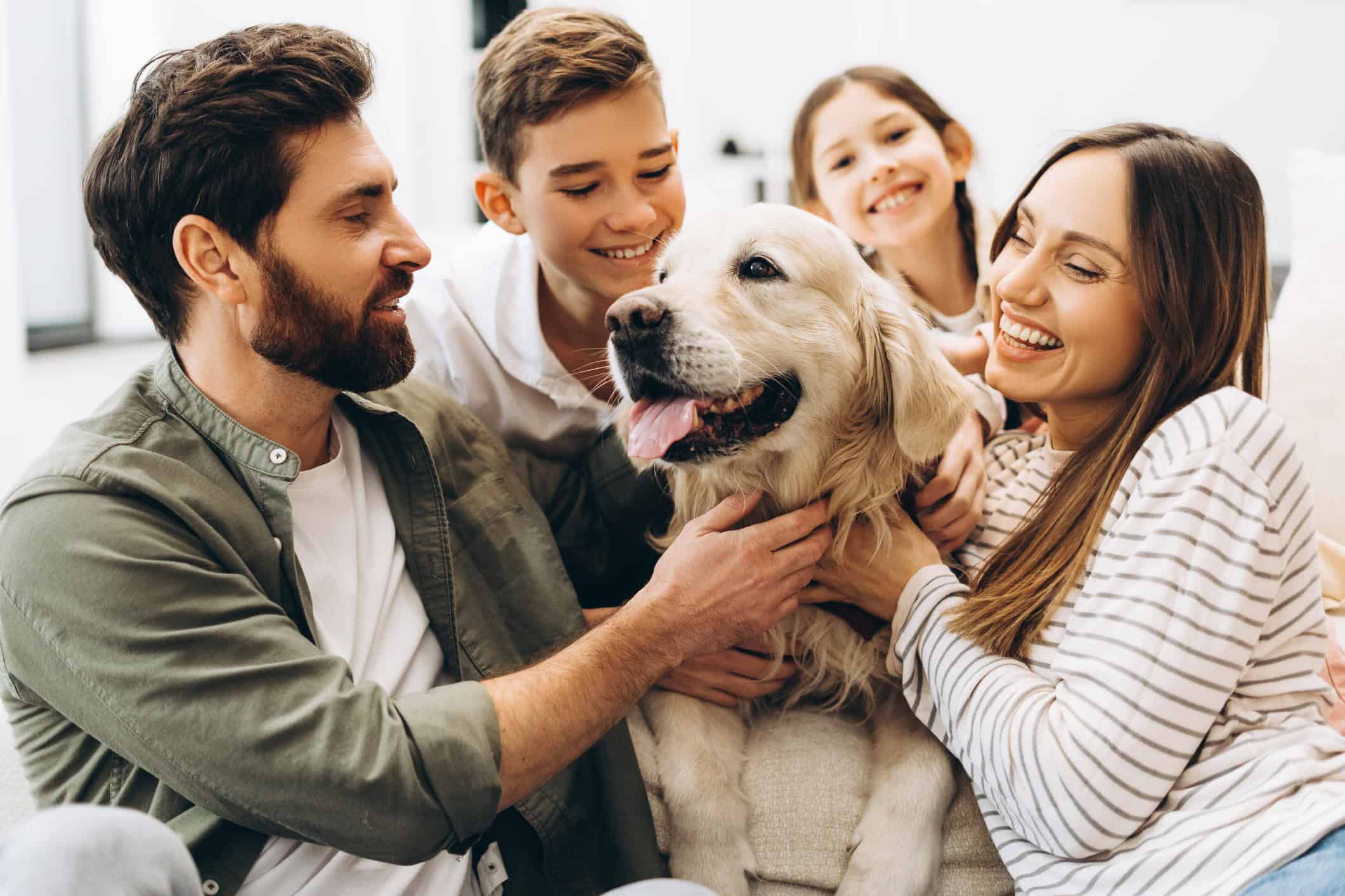 dog with family