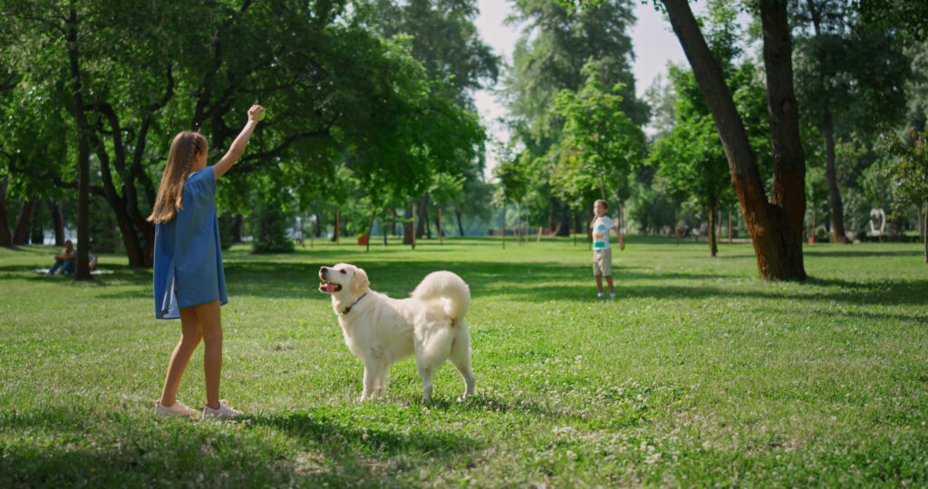 dogs responding differently to different family members