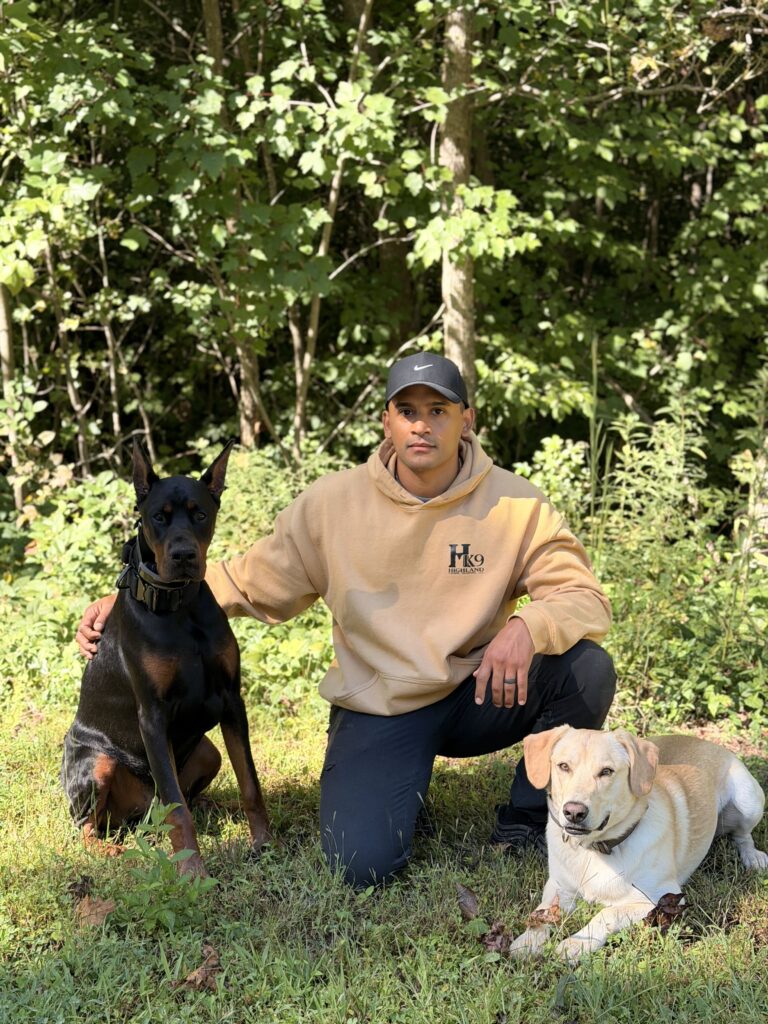 huntersville dog training