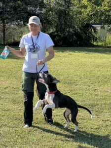 mag shelter article