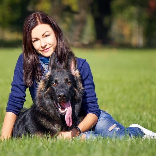 personal protection dog training